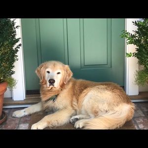 Meet your Posher, Chuck